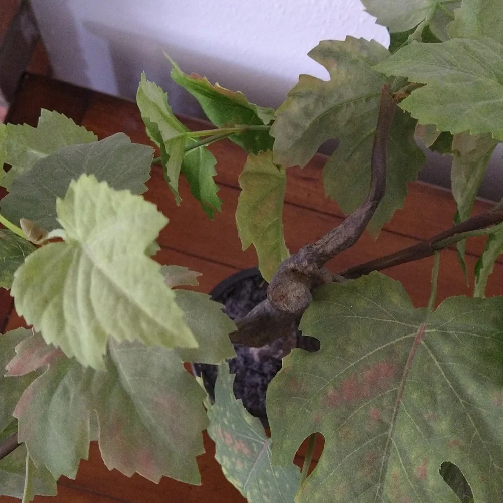 NWOT Faux Plant 22